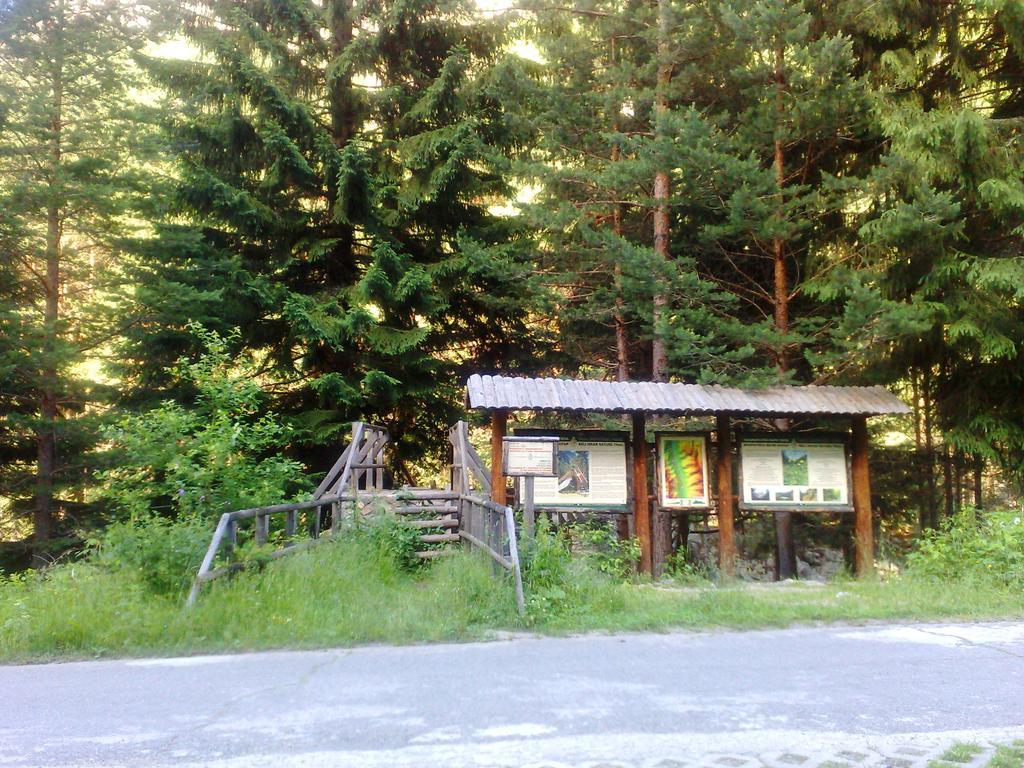 Family Hotel Sonata 萨莫科夫 外观 照片